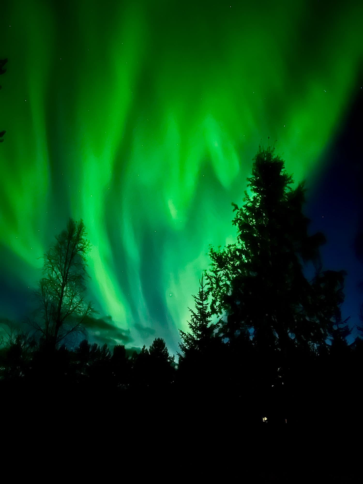 Towards the Winter Season 2025-2026 in Lapland